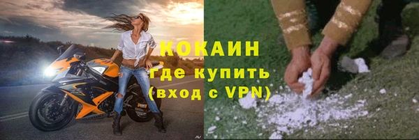 сатива Балахна