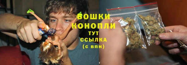 твердый Аркадак