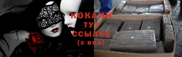 сатива Балахна