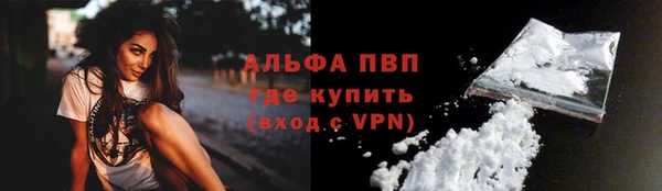сатива Балахна