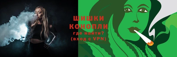 сатива Балахна