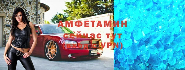 сатива Балахна