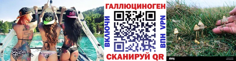 Галлюциногенные грибы ЛСД хочу наркоту ОМГ ОМГ маркетплейс Приморско-Ахтарск