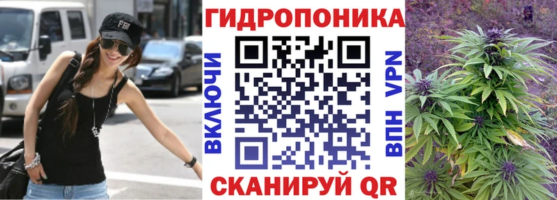 где найти   Приморско-Ахтарск  Бошки марихуана OG Kush 